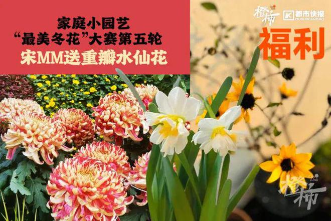、霸王茶姬动物手机支架……橙柿超多福利送送送尊龙凯时app网站时髦人都有的巴拉克拉法帽(图7)